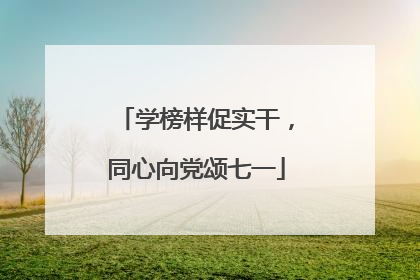 学榜样促实干，同心向党颂七一