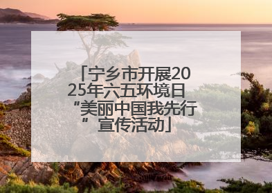 宁乡市开展2025年六五环境日“美丽中国我先行”宣传活动