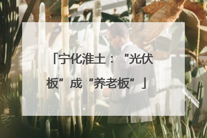 宁化淮土：“光伏板”成“养老板”