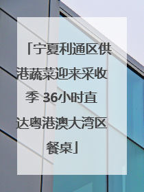 宁夏利通区供港蔬菜迎来采收季 36小时直达粤港澳大湾区餐桌