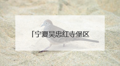 宁夏吴忠红寺堡区总工会开展“携手童行”主题慰问活动
