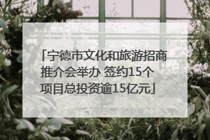 宁德市文化和旅游招商推介会举办 签约15个项目总投资逾15亿元