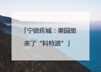 宁德蕉城：果园里来了“科特派”