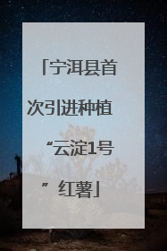 宁洱县首次引进种植“云淀1号”红薯