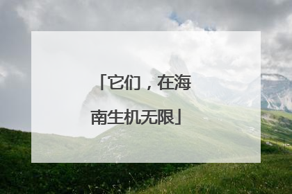 它们，在海南生机无限