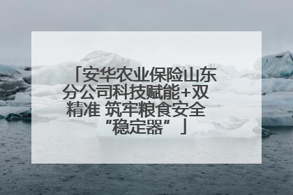 安华农业保险山东分公司科技赋能+双精准 筑牢粮食安全“稳定器”