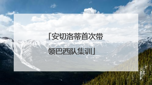 安切洛蒂首次带领巴西队集训