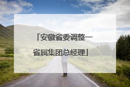 安徽省委调整一省属集团总经理