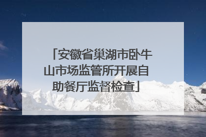 安徽省巢湖市卧牛山市场监管所开展自助餐厅监督检查