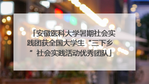 安徽医科大学暑期社会实践团获全国大学生“三下乡”社会实践活动优秀团队