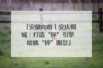 安徽向前丨安庆桐城：打造“锌”引擎 绘就“锌”图景