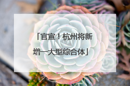 官宣！杭州将新增一大型综合体