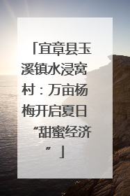 宜章县玉溪镇水浸窝村：万亩杨梅开启夏日“甜蜜经济”