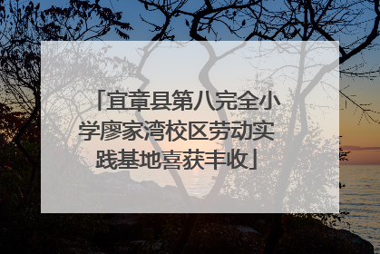 宜章县第八完全小学廖家湾校区劳动实践基地喜获丰收
