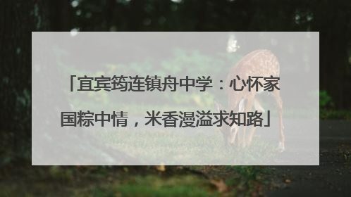 宜宾筠连镇舟中学：心怀家国粽中情，米香漫溢求知路