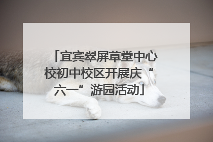 宜宾翠屏草堂中心校初中校区开展庆“六一”游园活动