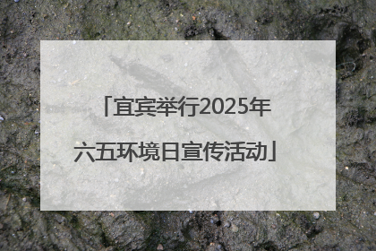 宜宾举行2025年六五环境日宣传活动