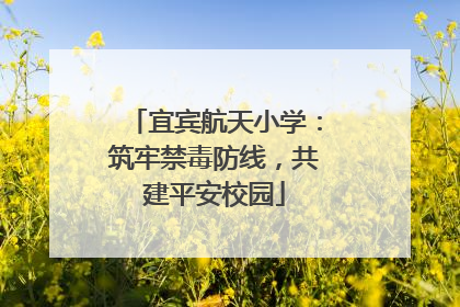 宜宾航天小学：筑牢禁毒防线，共建平安校园