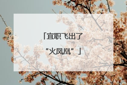 宜职飞出了“火凤凰”