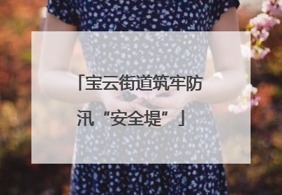 宝云街道筑牢防汛“安全堤”