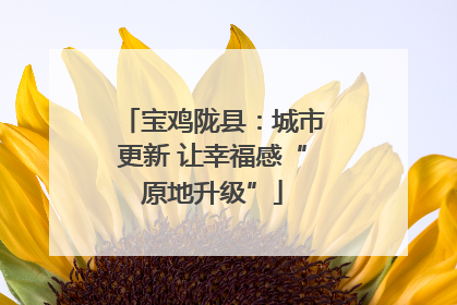 宝鸡陇县：城市更新 让幸福感“原地升级”