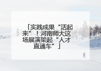 实践成果“活起来”！河南师大这场展演架起“人才直通车”