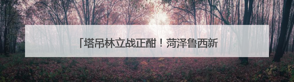 塔吊林立战正酣！菏泽鲁西新区奏响项目建设“奋进曲”