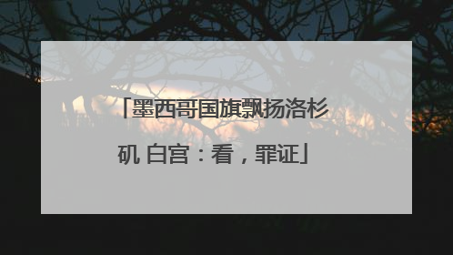 墨西哥国旗飘扬洛杉矶 白宫：看，罪证