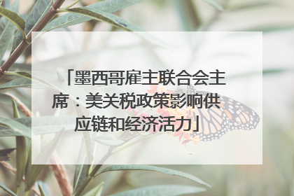 墨西哥雇主联合会主席：美关税政策影响供应链和经济活力