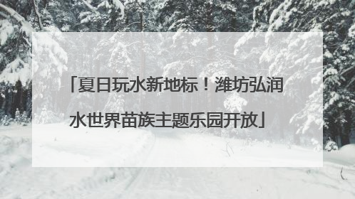夏日玩水新地标！潍坊弘润水世界苗族主题乐园开放