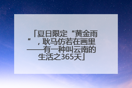 夏日限定“黄金雨”，耿马仿若在画里——有一种叫云南的生活之365天