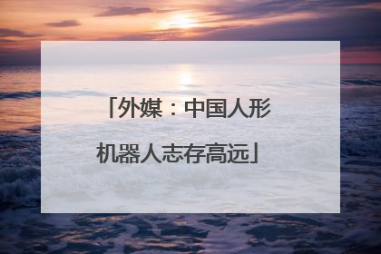 外媒：中国人形机器人志存高远