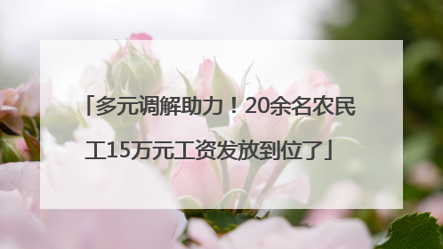 多元调解助力！20余名农民工15万元工资发放到位了