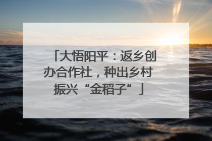 大悟阳平：返乡创办合作社，种出乡村振兴“金稻子”