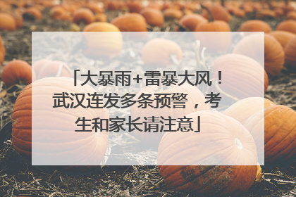 大暴雨+雷暴大风！武汉连发多条预警，考生和家长请注意