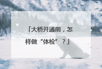 大桥开通前，怎样做“体检”？