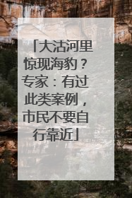 大沽河里惊现海豹？专家：有过此类案例，市民不要自行靠近