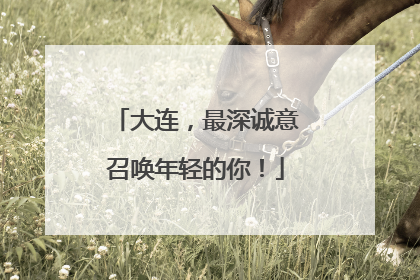大连，最深诚意召唤年轻的你！