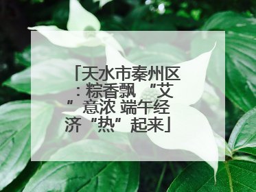 天水市秦州区：粽香飘 “艾”意浓 端午经济“热”起来