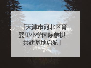 天津市河北区育婴里小学国际象棋共建基地启航