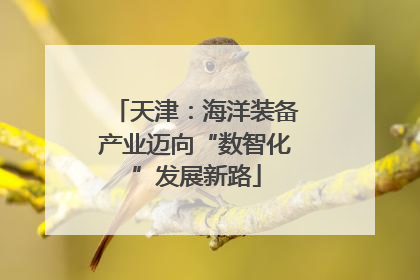 天津：海洋装备产业迈向“数智化”发展新路