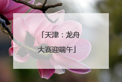 天津：龙舟大赛迎端午