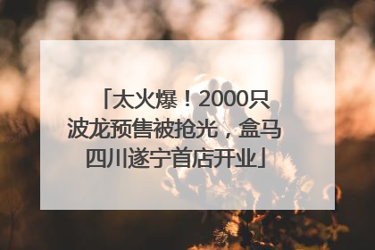 太火爆！2000只波龙预售被抢光，盒马四川遂宁首店开业