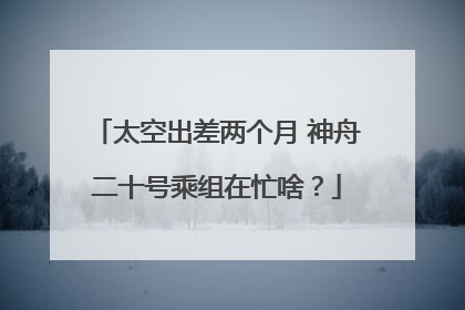 太空出差两个月 神舟二十号乘组在忙啥？