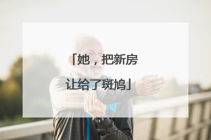 她，把新房让给了斑鸠