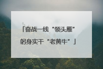 奋战一线“领头雁” 躬身实干“老黄牛”