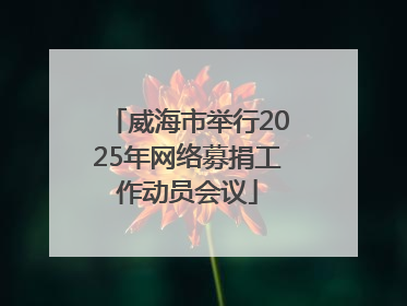 威海市举行2025年网络募捐工作动员会议