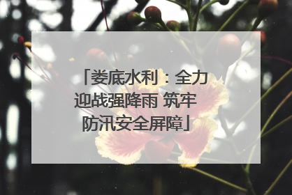 娄底水利：全力迎战强降雨 筑牢防汛安全屏障