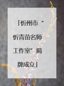 忻州市“忻青苗名师工作室”揭牌成立