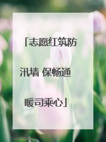 志愿红筑防汛墙 保畅通暖司乘心